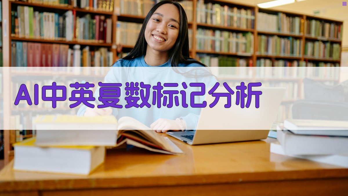 AI中英复数标记分析