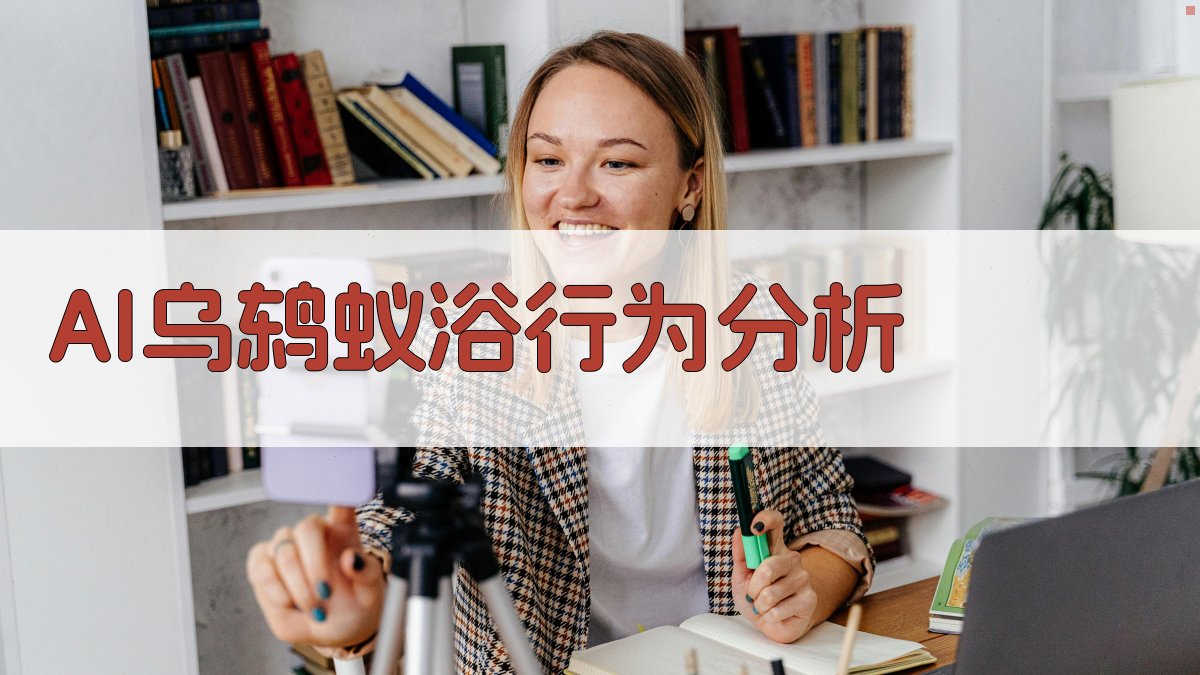 AI乌鸫蚁浴行为分析