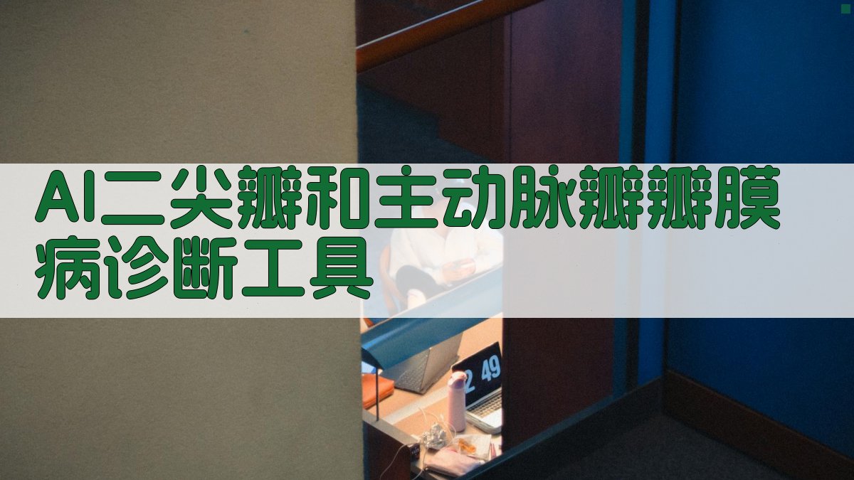 AI二尖瓣和主动脉瓣瓣膜病诊断