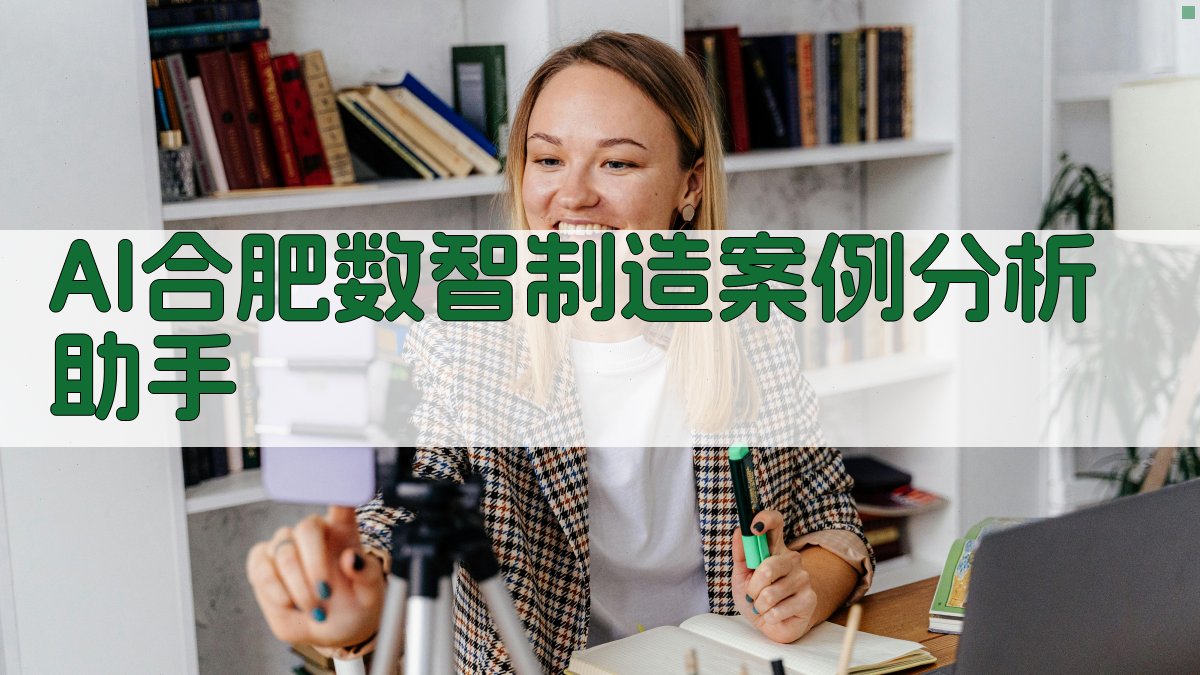 AI合肥数智制造案例分析助手