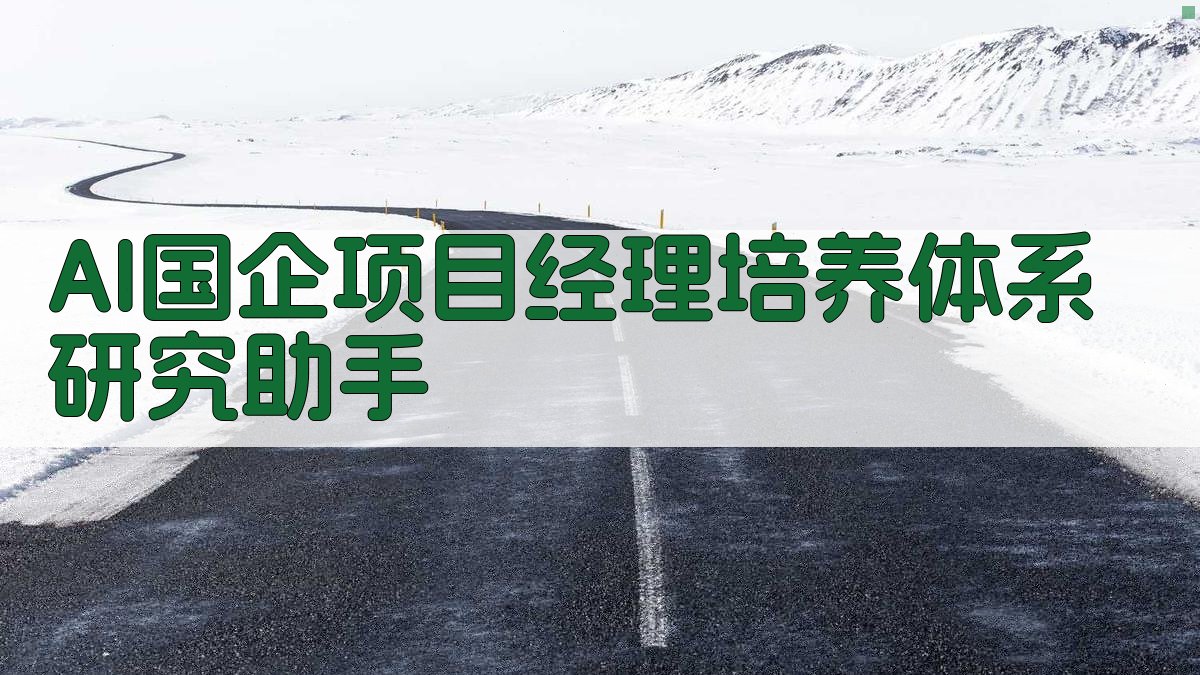 AI国企项目经理培养体系研究助手