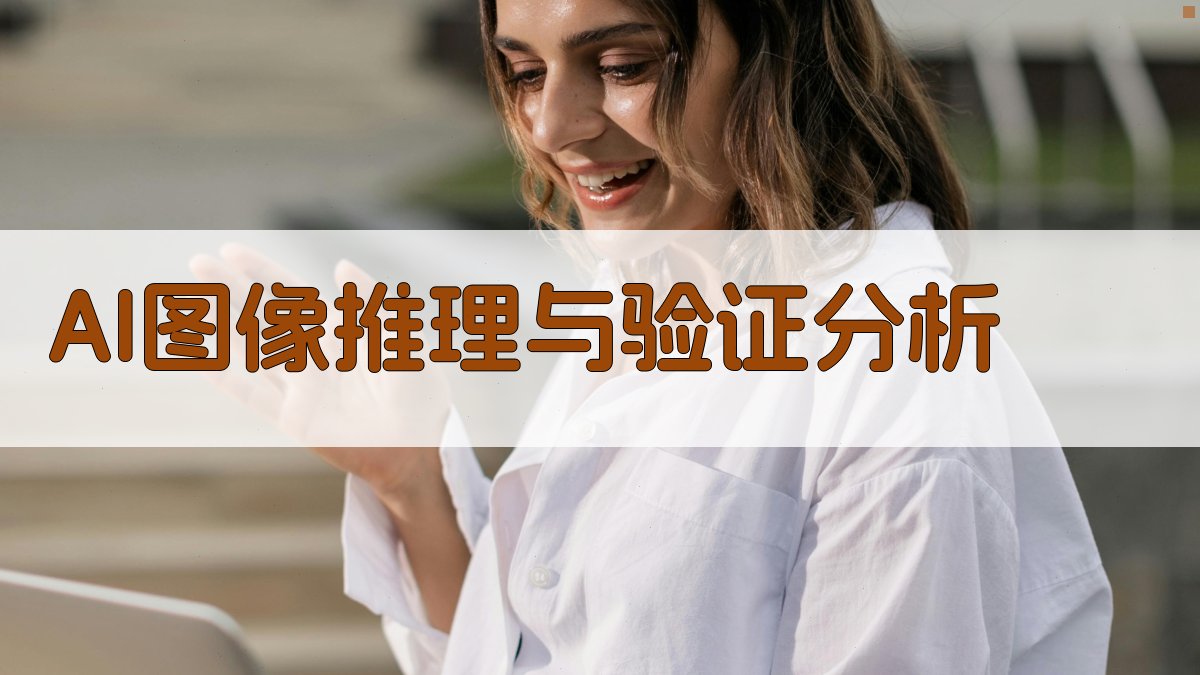 AI图像推理与验证分析