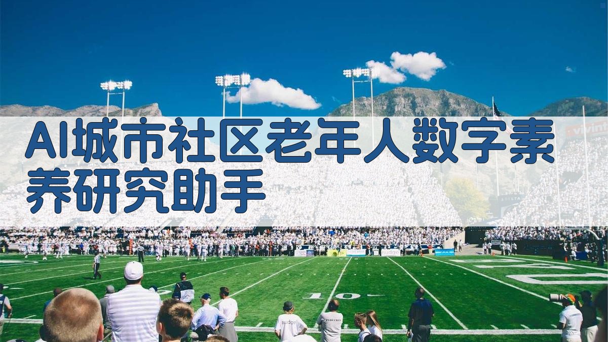 AI城市社区老年人数字素养研究助手