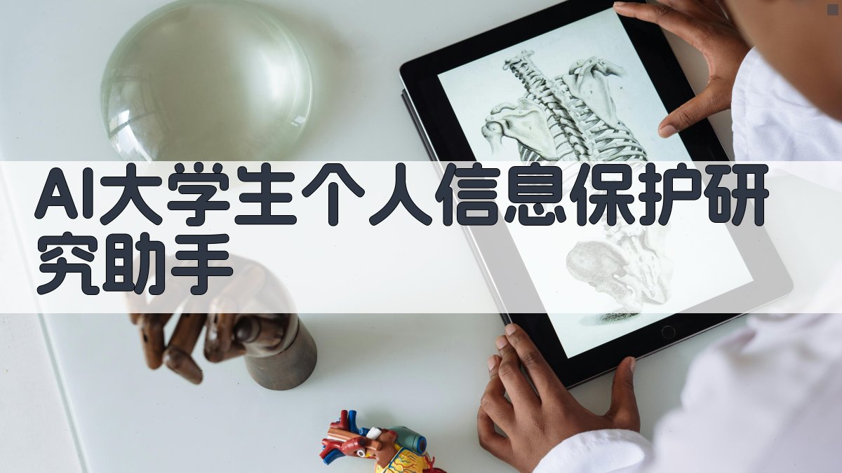 AI大学生个人信息保护研究助手
