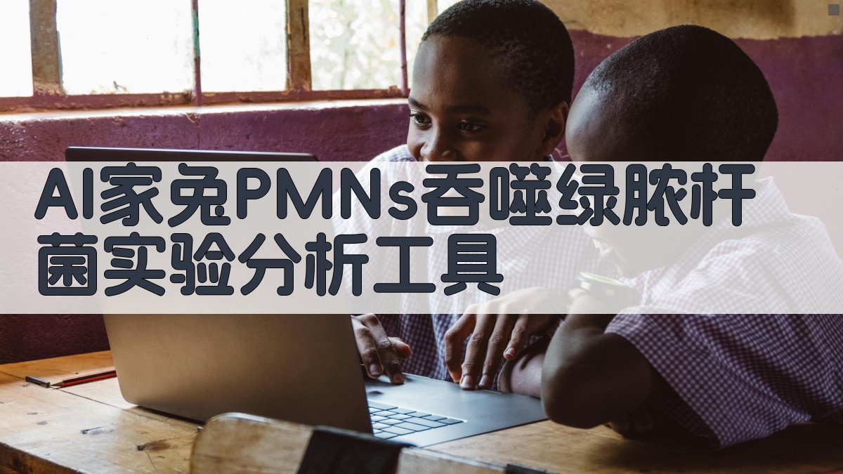 AI抗菌素吞噬实验分析