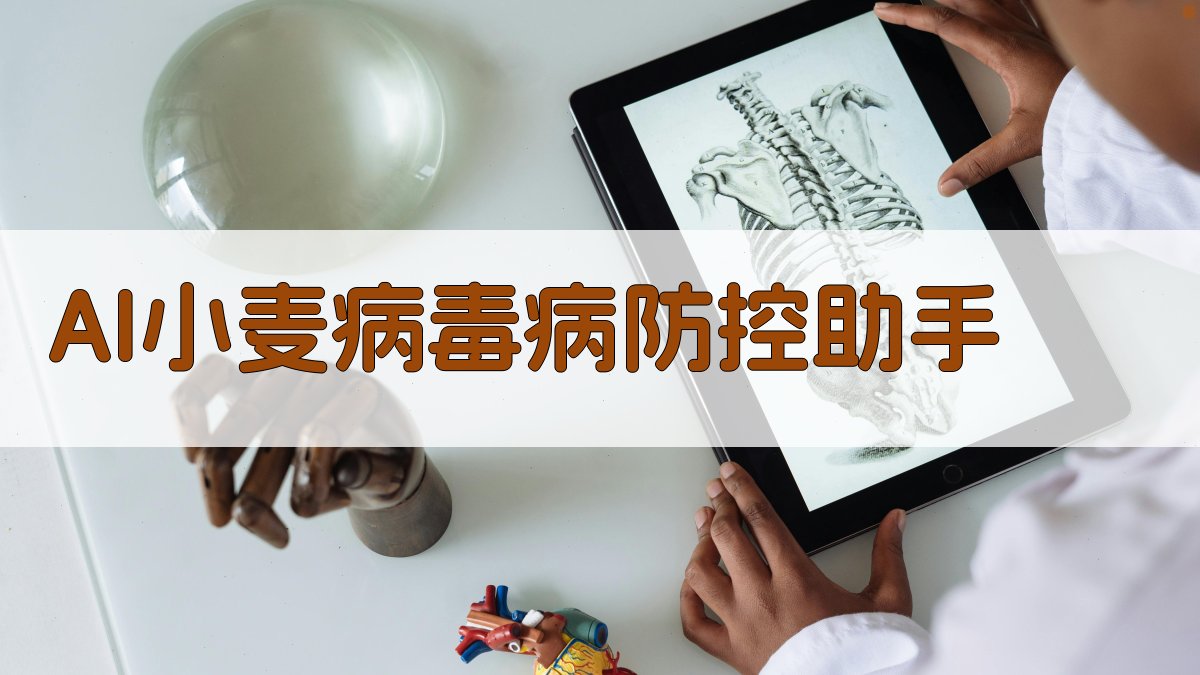 AI小麦病毒病防控助手