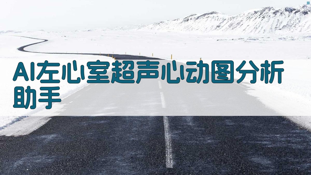 AI左心室超声心动图分析助手
