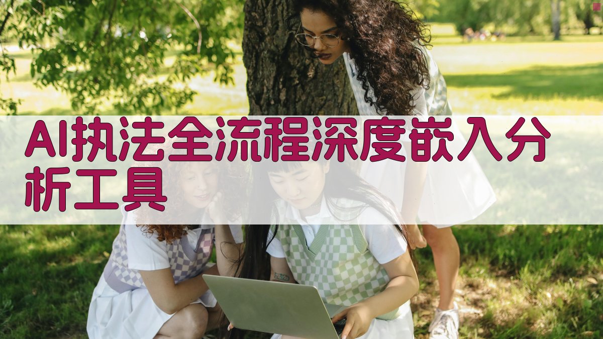 AI执法全流程深度嵌入分析工具