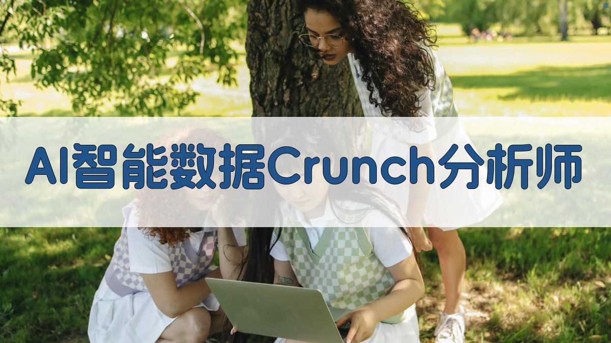 AI智能数据Crunch分析师