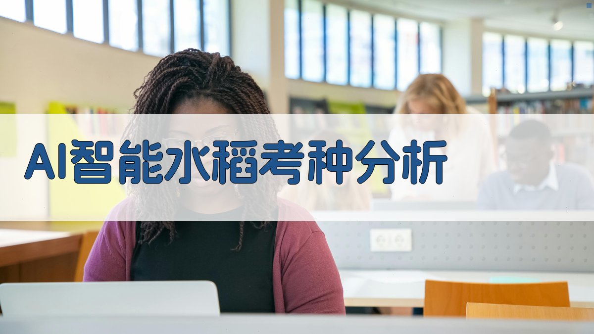 AI智能水稻考种分析