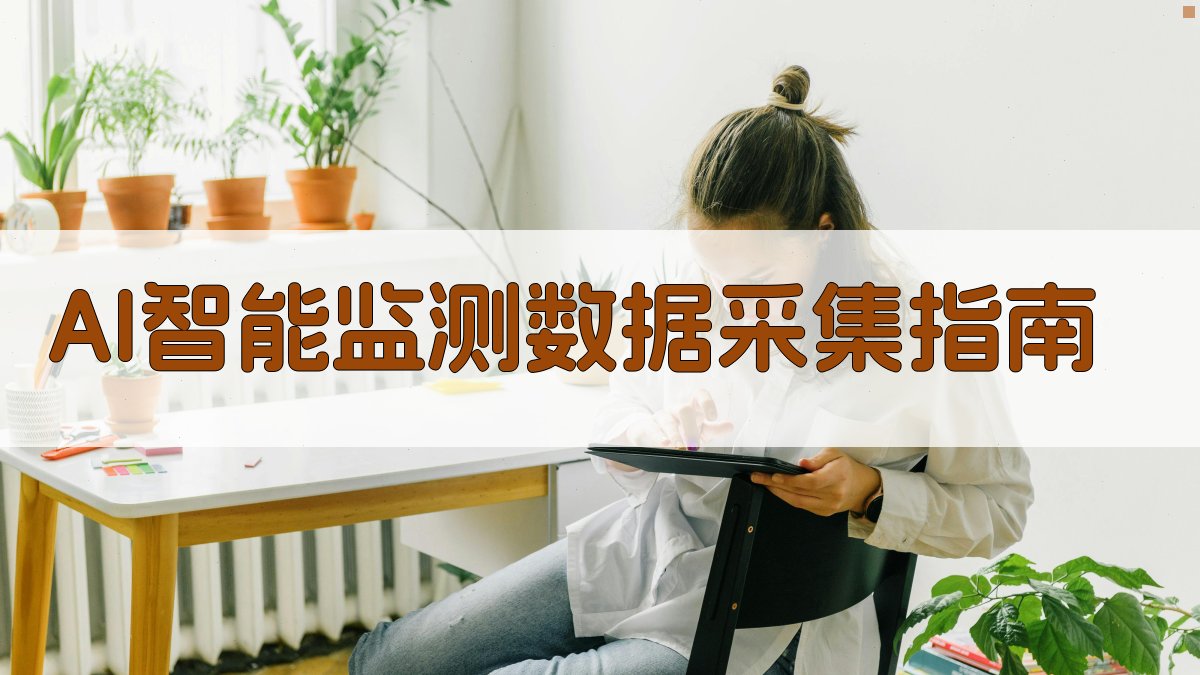 AI智能监测数据采集指南
