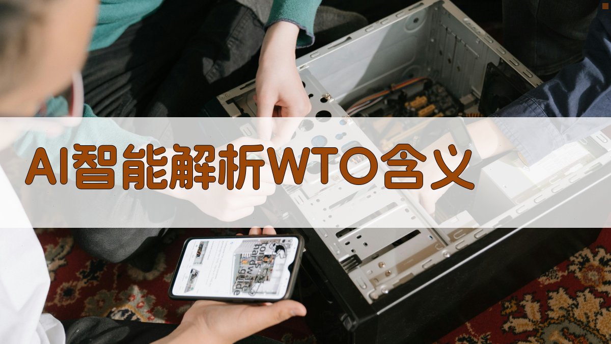 WTO含义解析