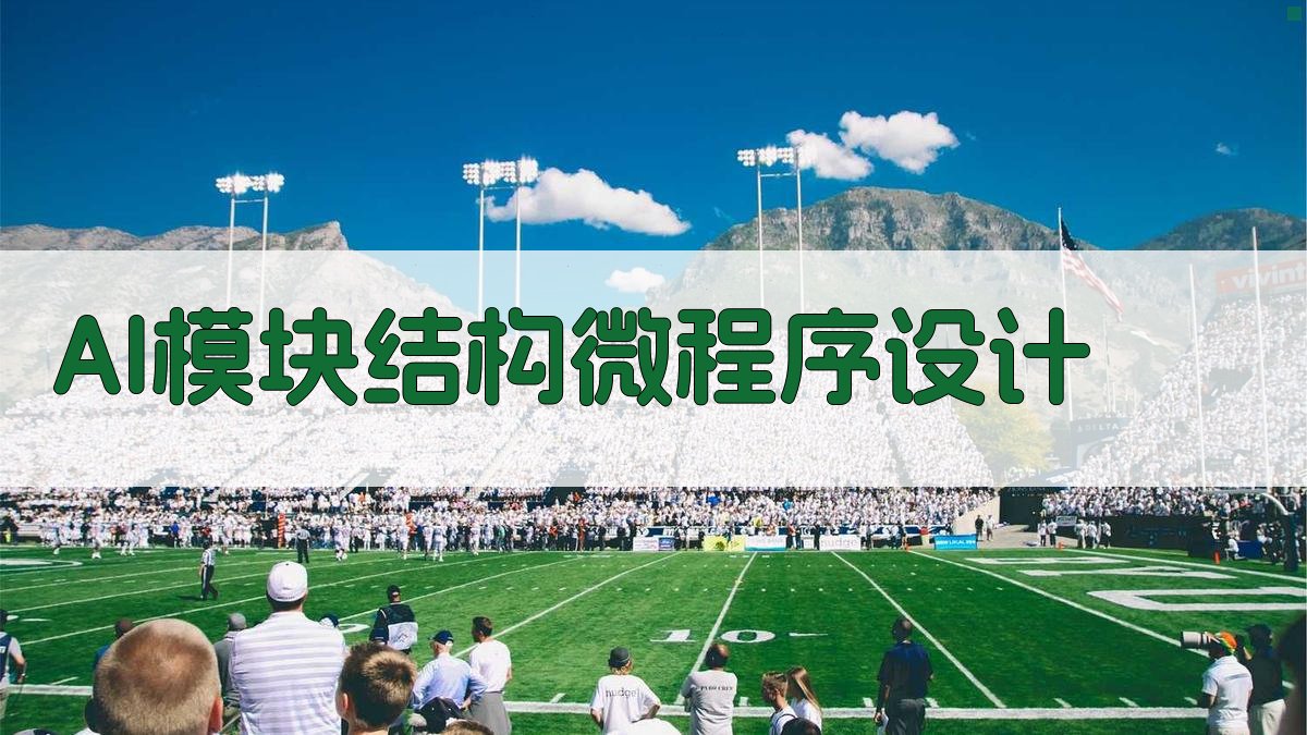 AI模块结构微程序设计