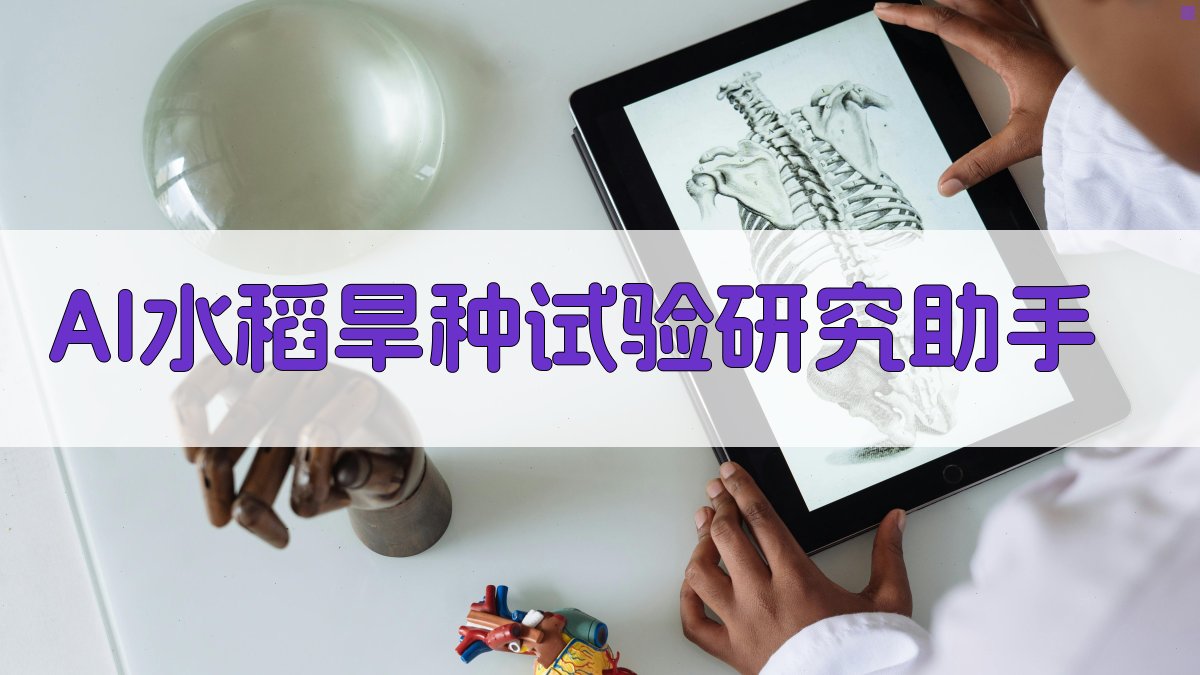 AI水稻旱种试验研究助手