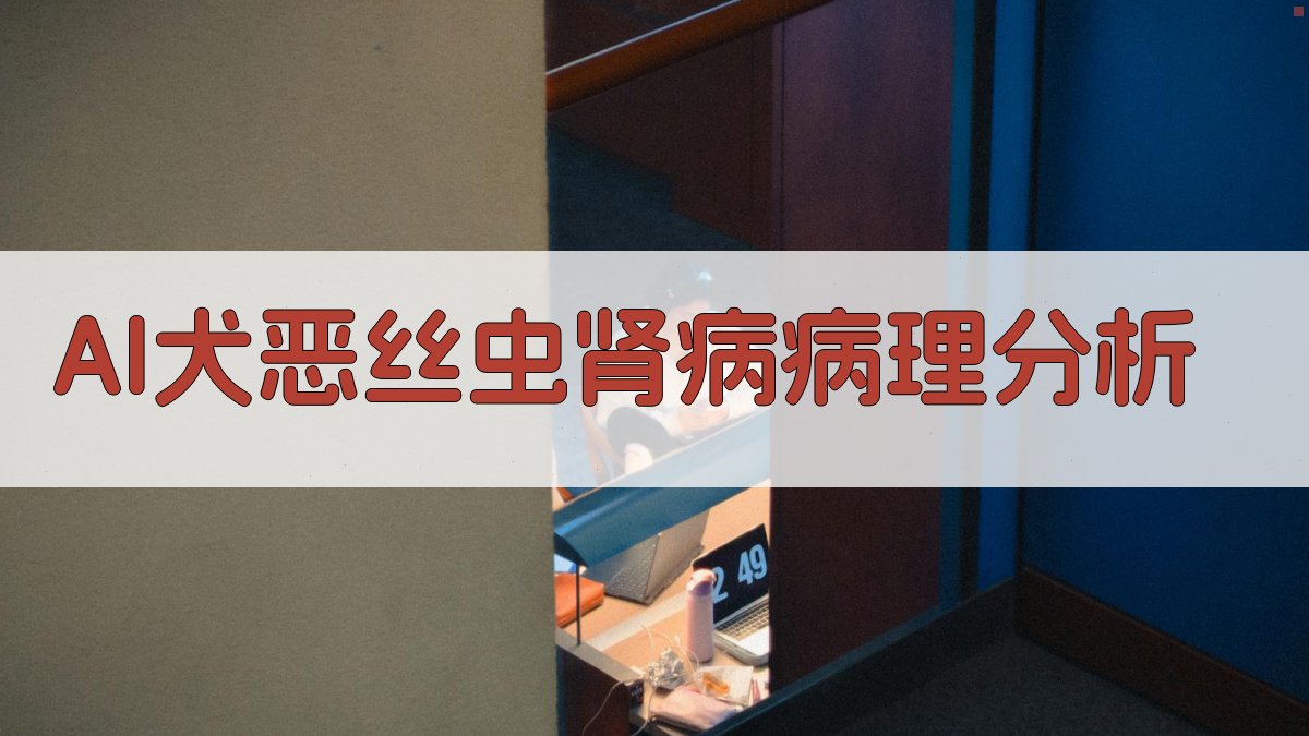 AI犬恶丝虫肾病病理分析