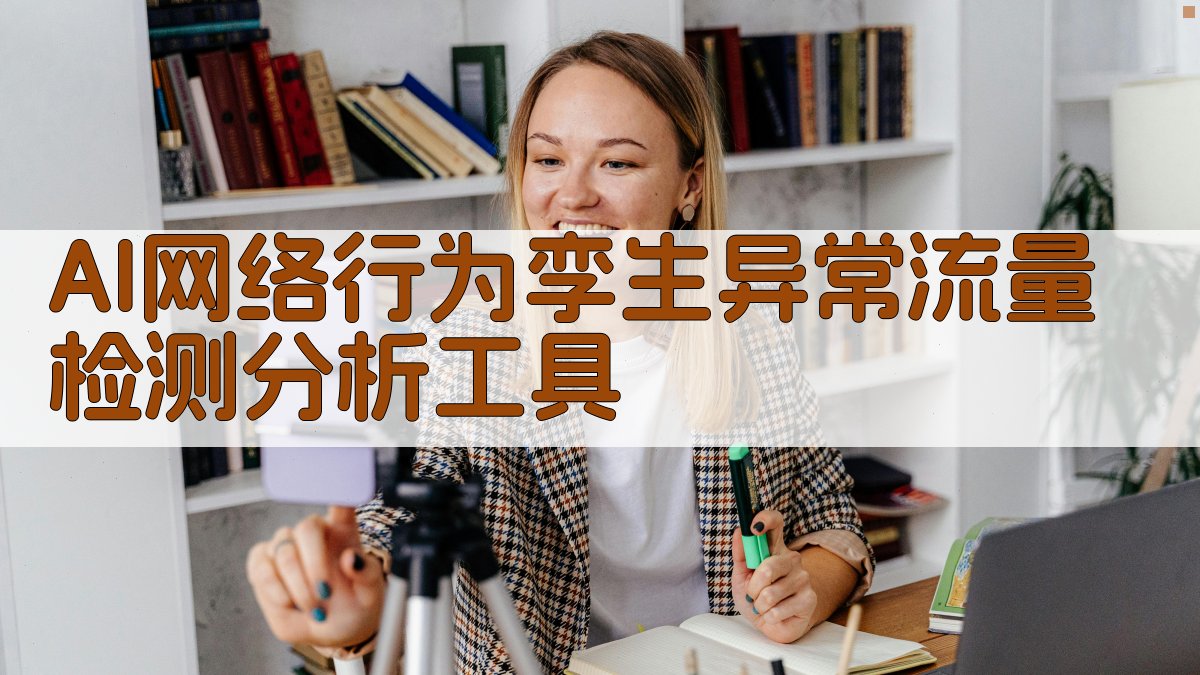 AI网络行为孪生异常流量检测分析工具