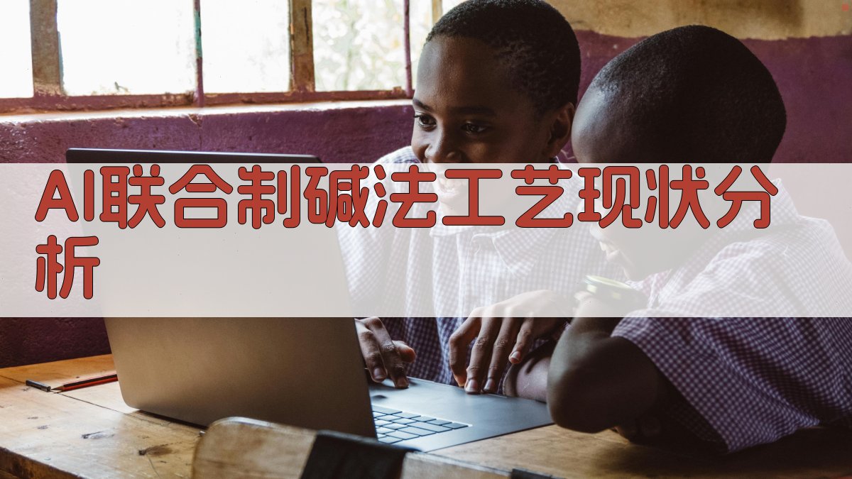 AI联合制碱法分析