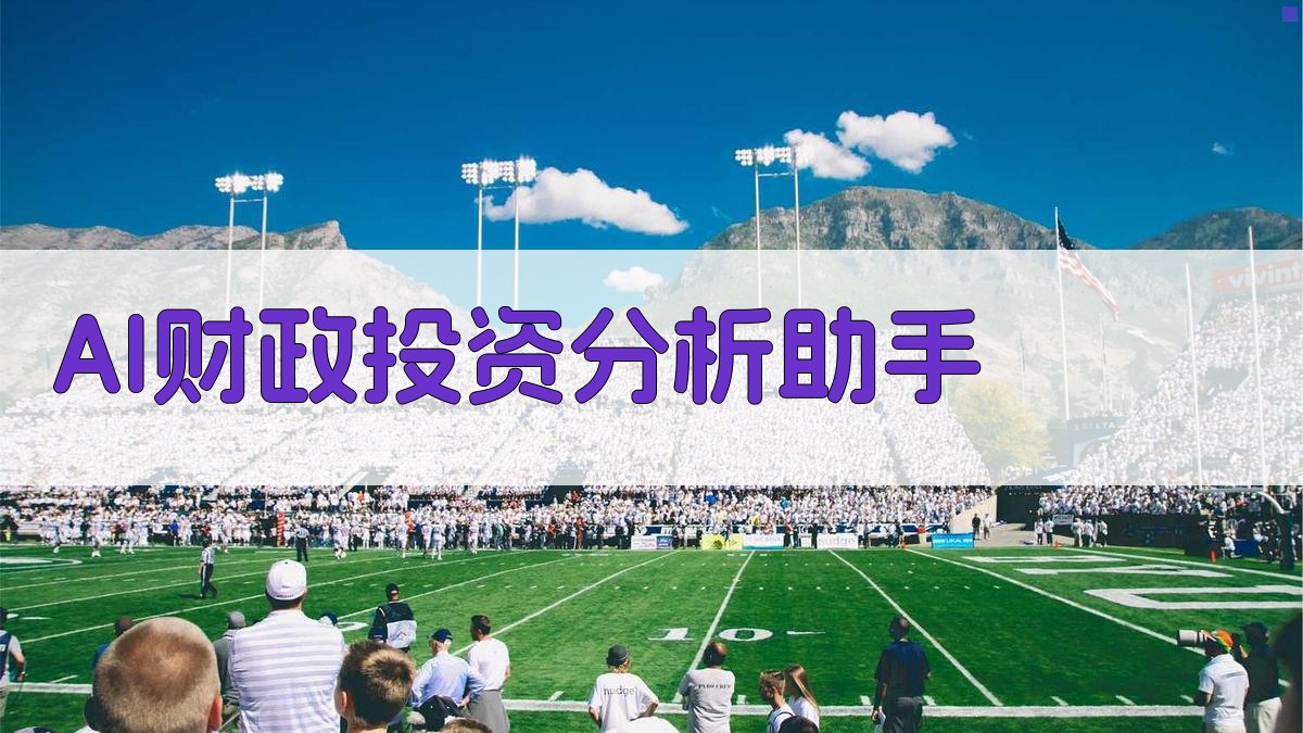 AI财政投资分析助手