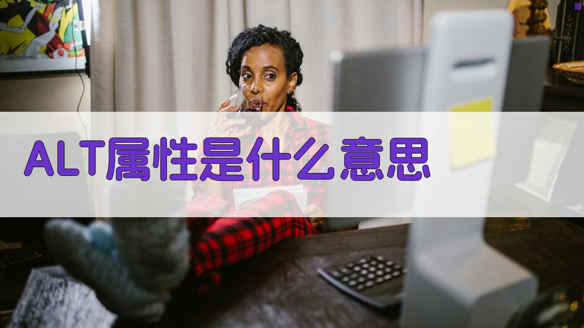 AI智能解析Alt属性