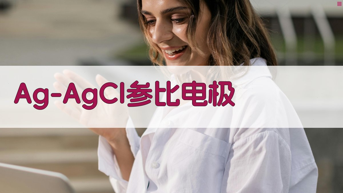Ag/AgCl 参比电极