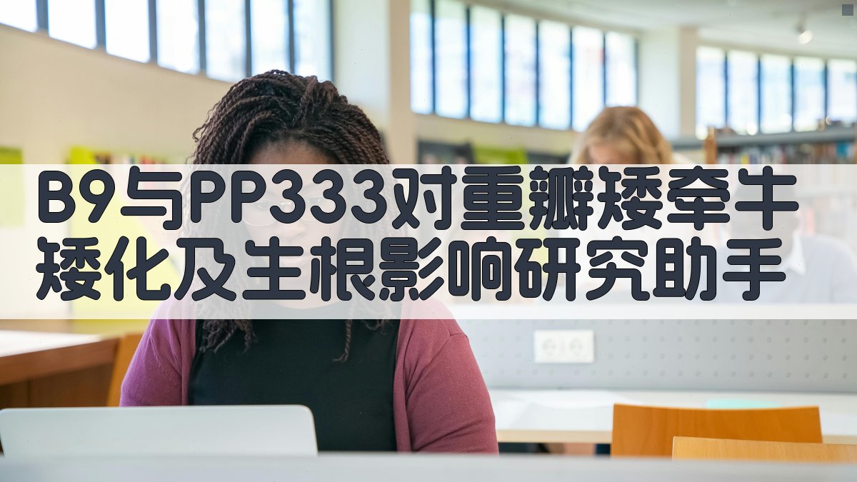 B9与PP333矮牵牛矮化生根分析