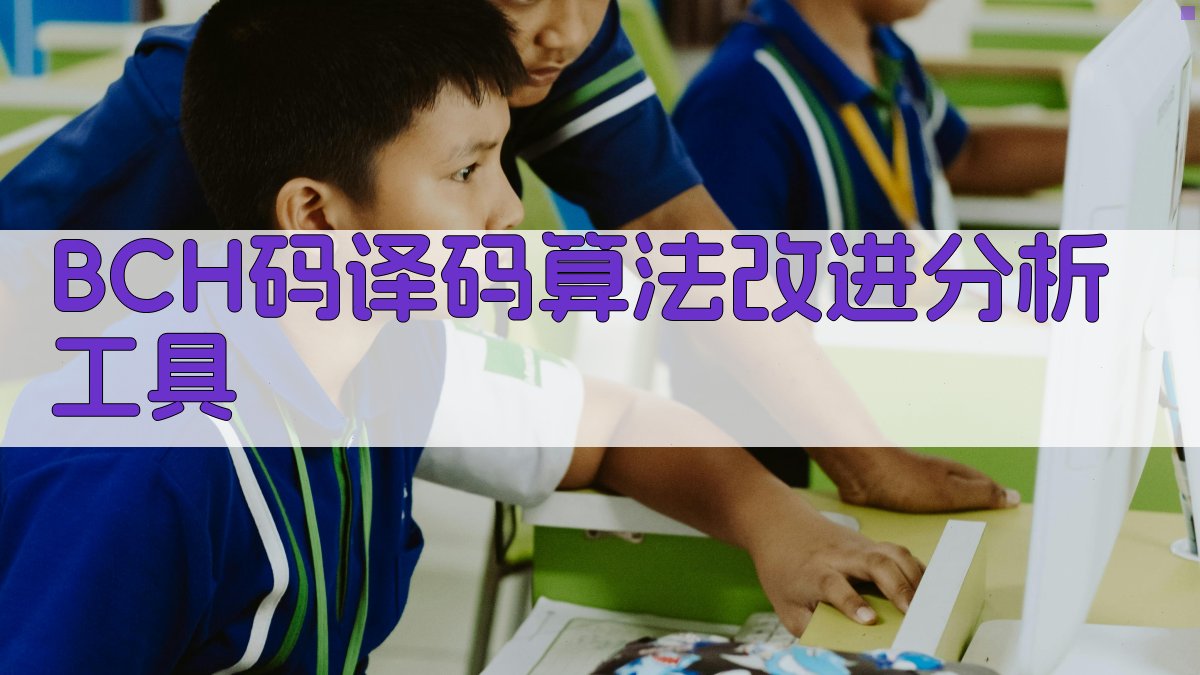 BCH码译码算法改进分析工具