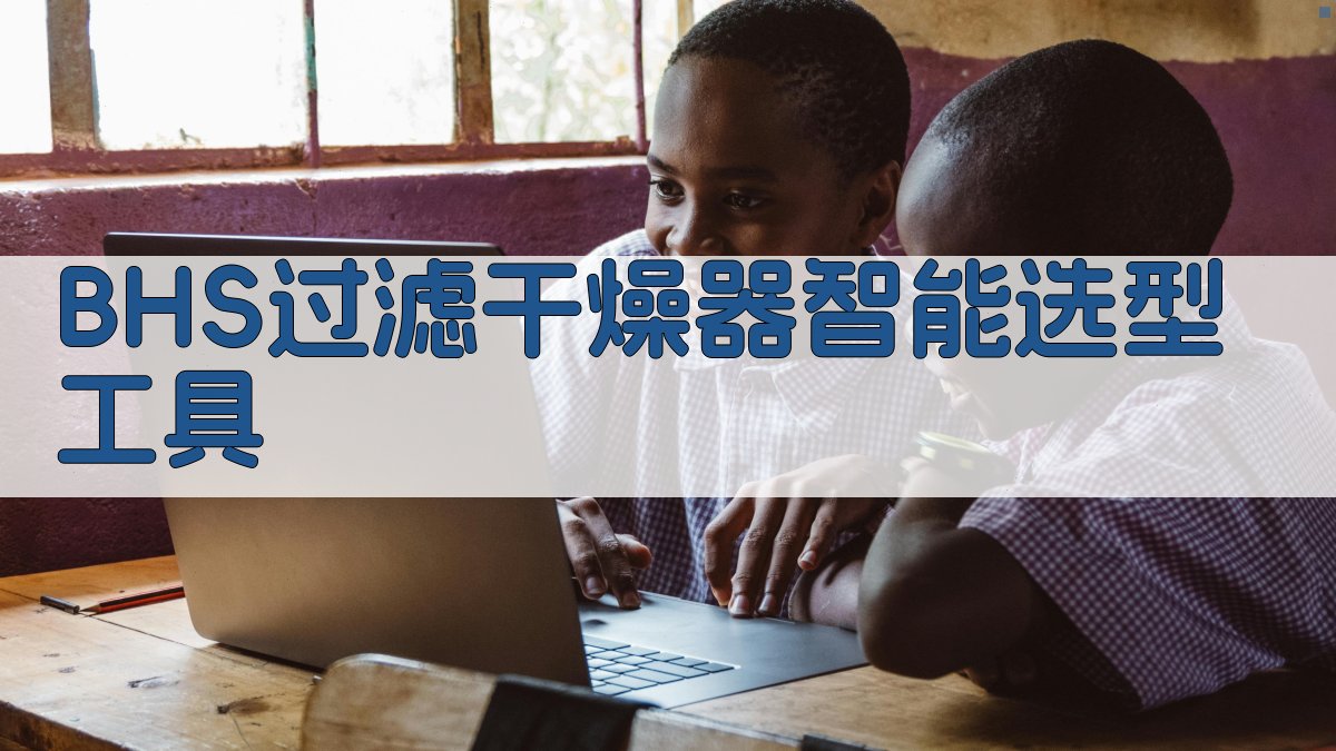 BHS过滤干燥器智能分析器