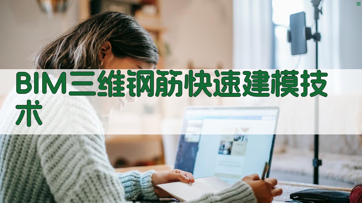 BIM三维钢筋快速建模技术