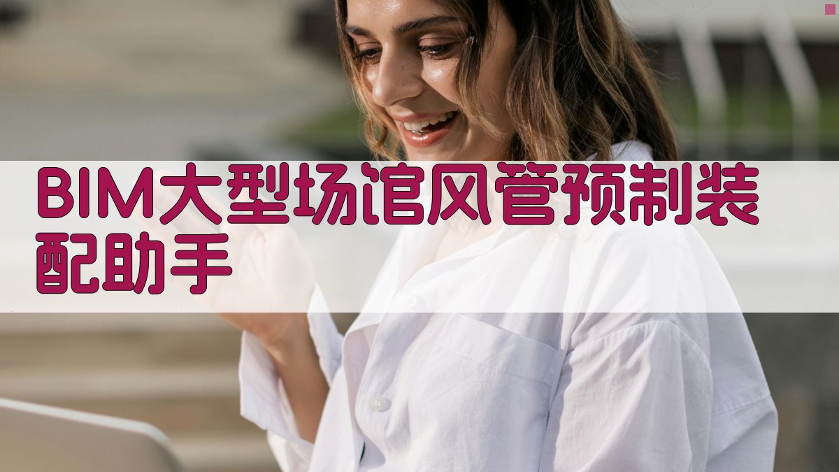 BIM技术研究助手