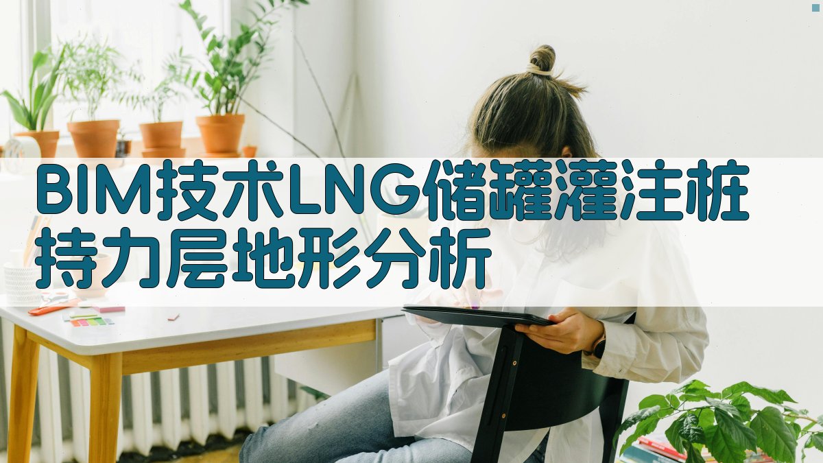 BIM技术LNG储罐灌注桩持力层地形分析