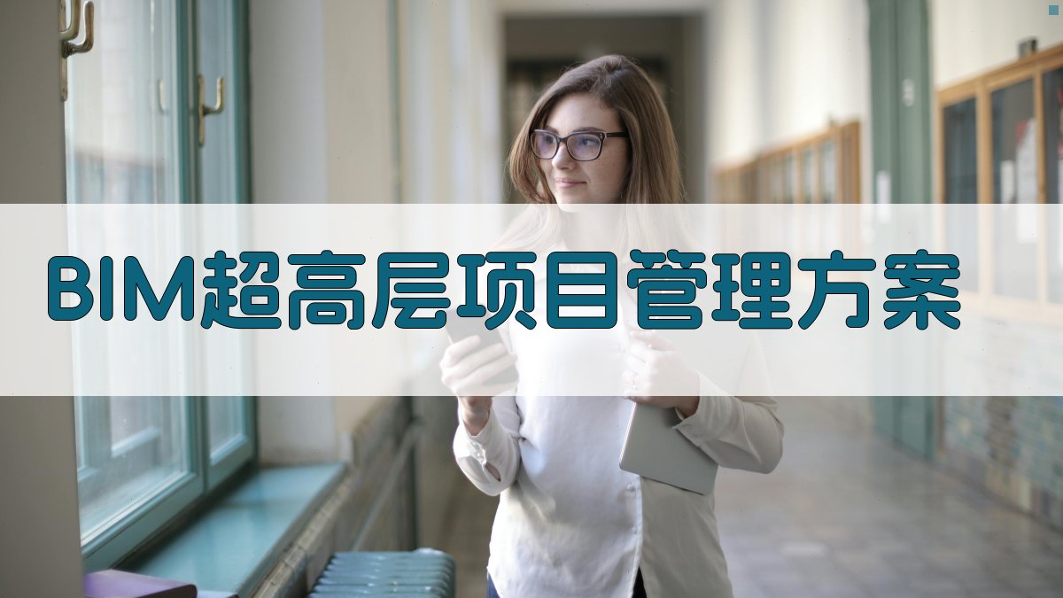 BIM超高层项目管理方案