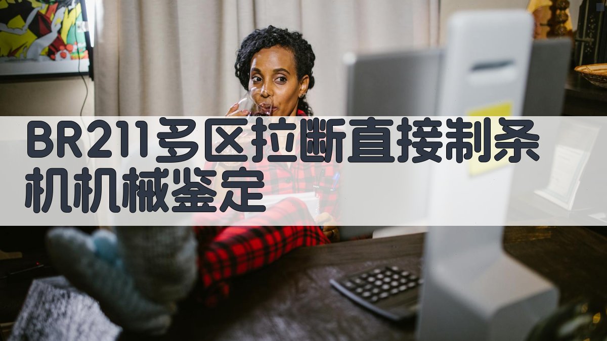 BR211多区拉断直接制条机机械鉴定