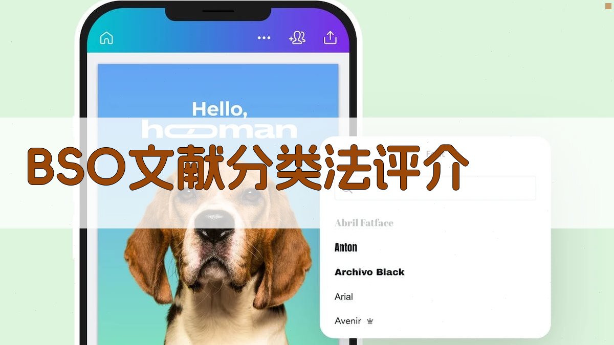 BSO文献分类法评介