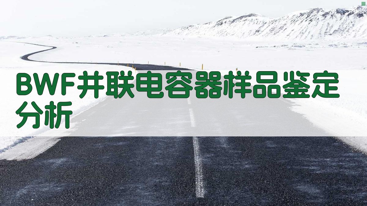 BWF并联电容器样品鉴定分析