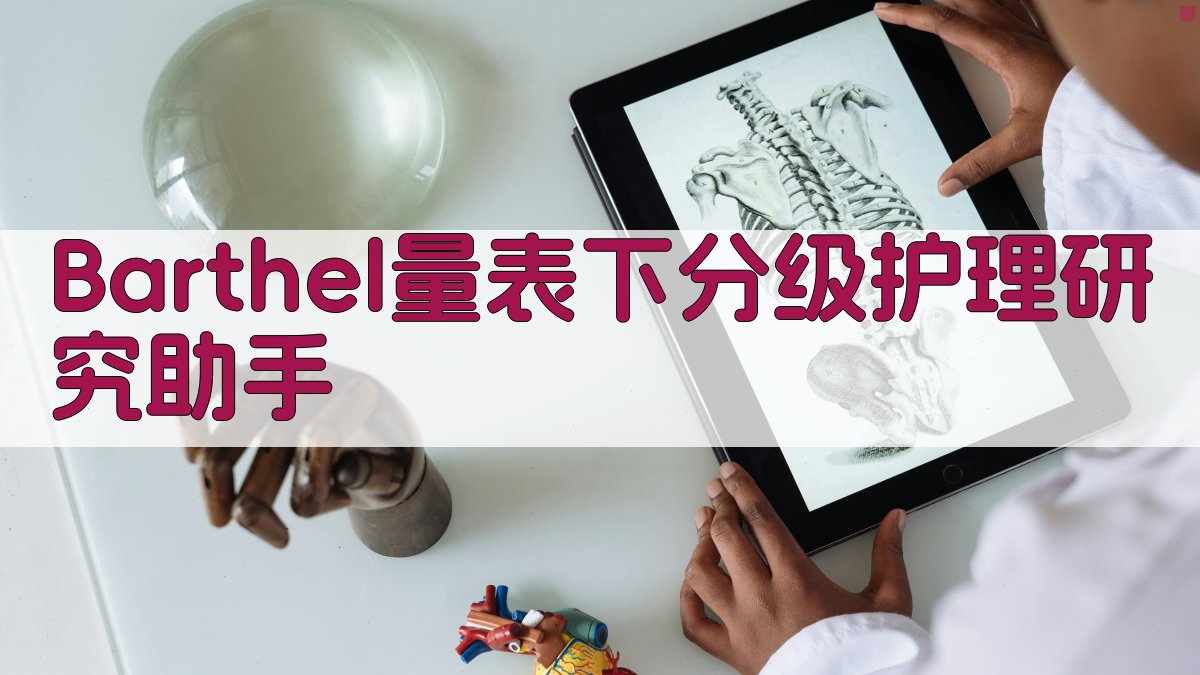 Barthel量表下分级护理研究助手