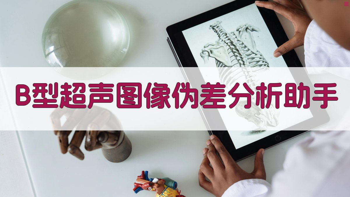 B型超声图像伪差分析助手