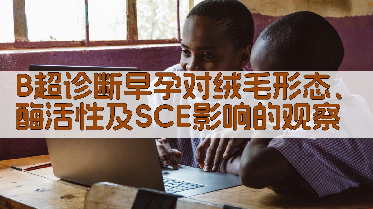 B超诊断早孕研究助手