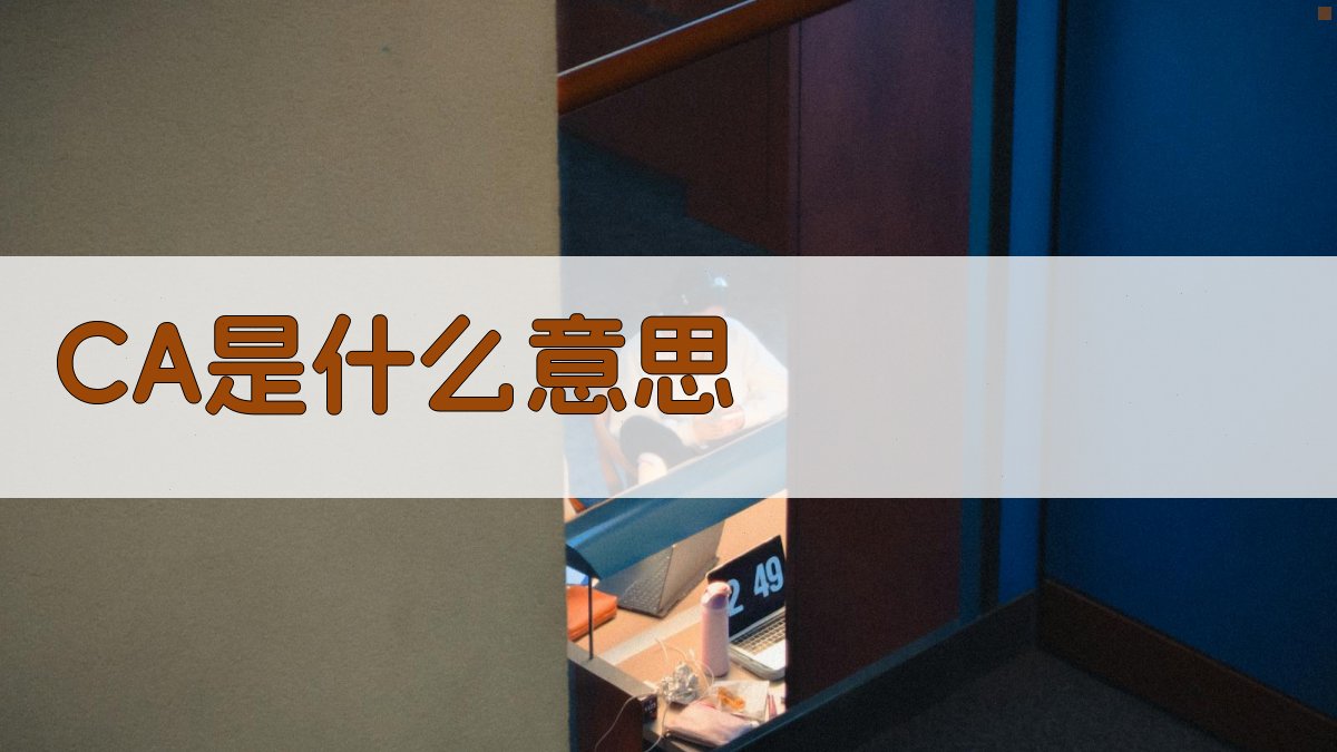 CA是什么意思