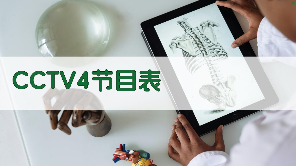 AI一键查询CCTV4节目表