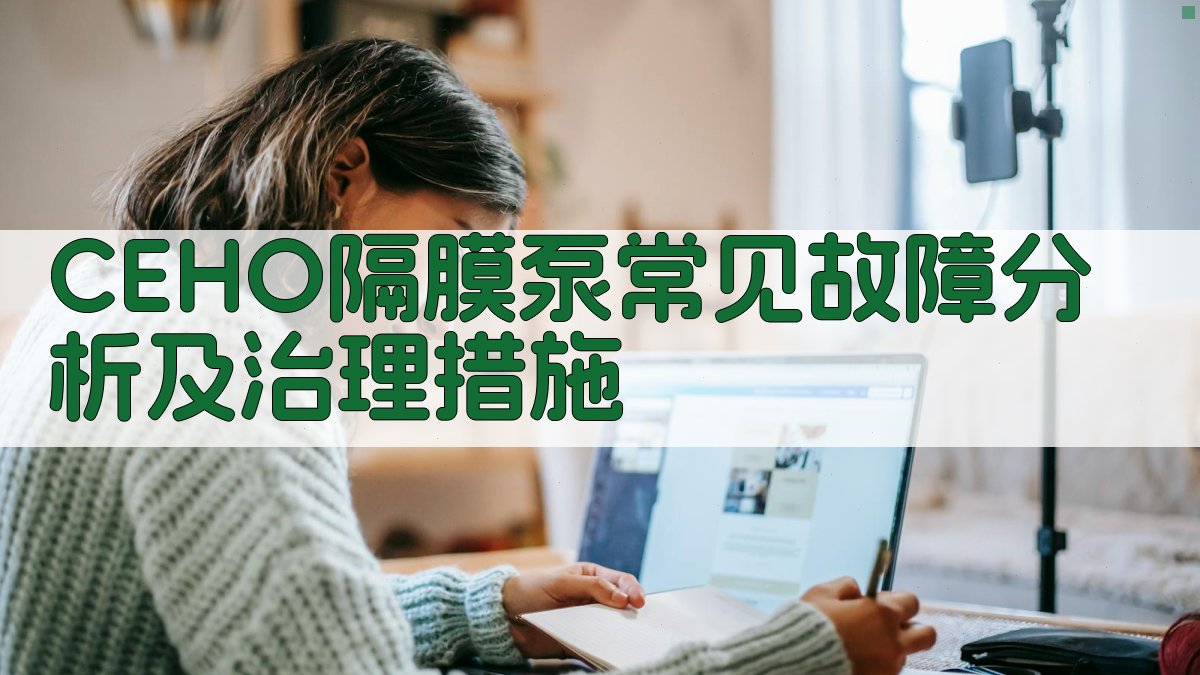 CEHO隔膜泵故障分析