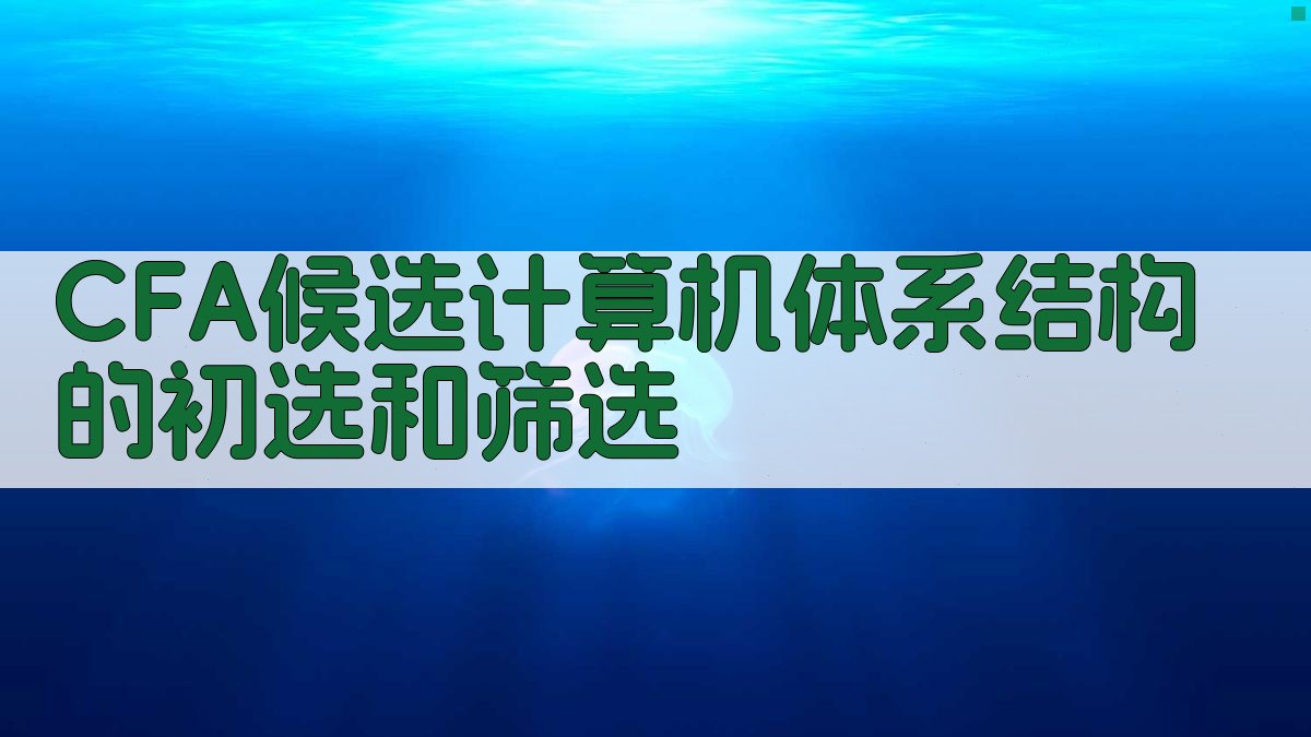 CFA候选计算机体系结构的初选和筛选