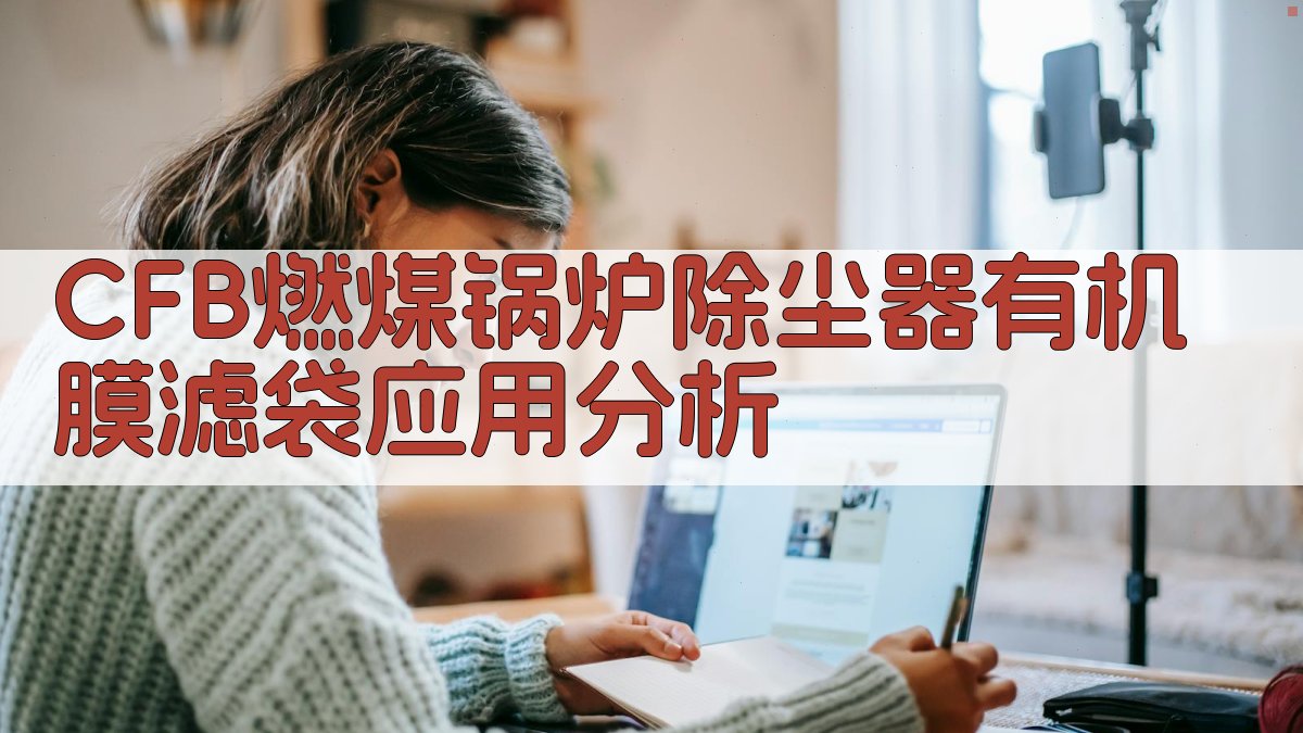 CFB燃煤锅炉除尘器有机膜滤袋应用分析