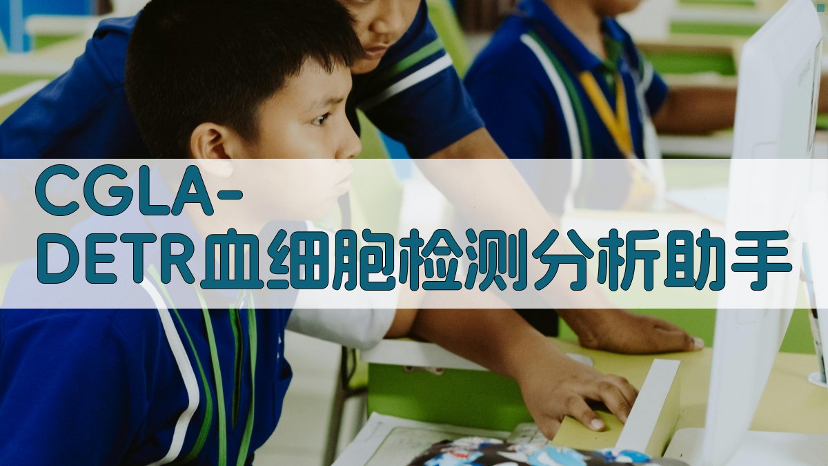 CGLA-DETR血细胞检测分析助手