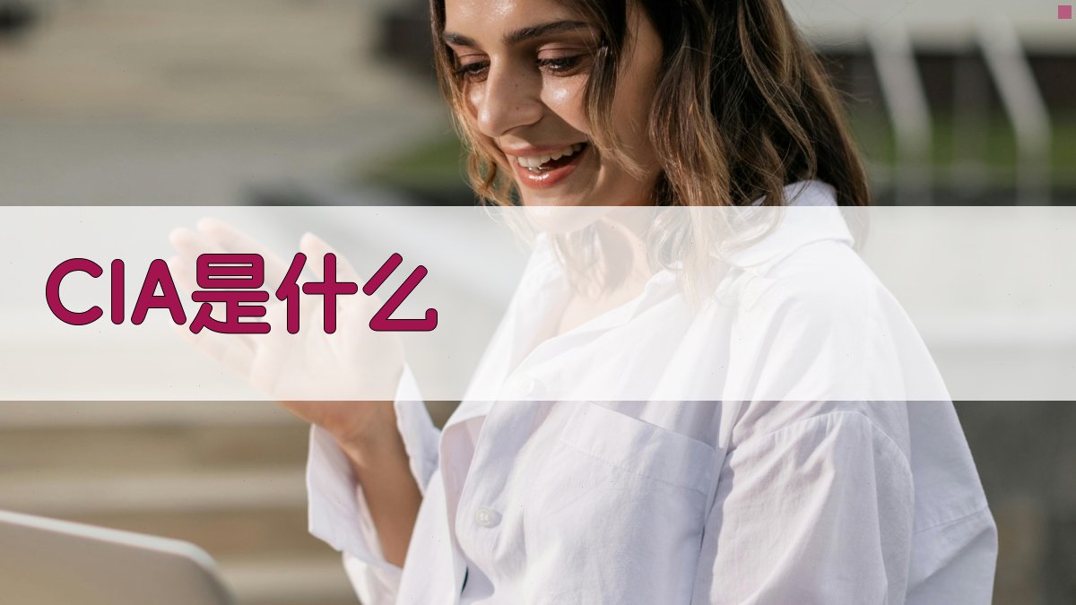 CIA智能百科解析工具