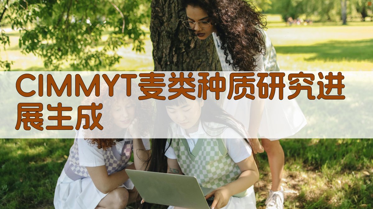 CIMMYT麦类种质研究进展