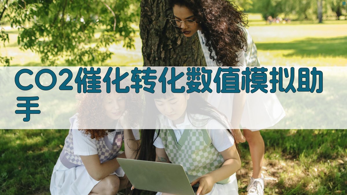 CO2催化转化数值模拟助手