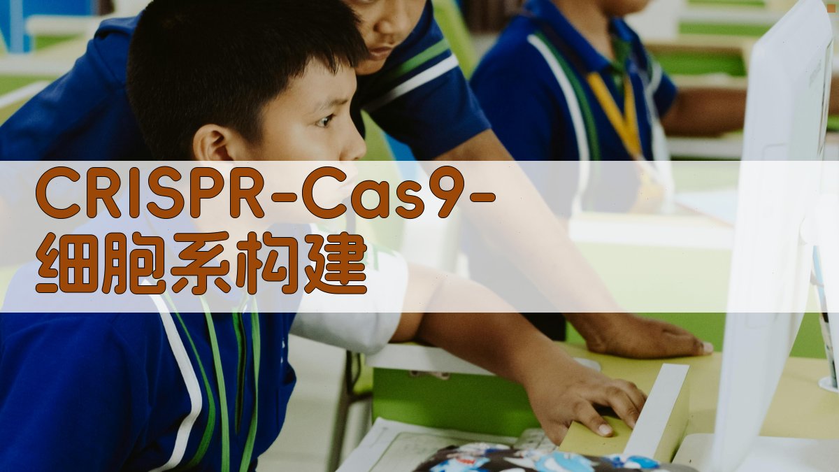CRISPR/Cas9细胞系构建