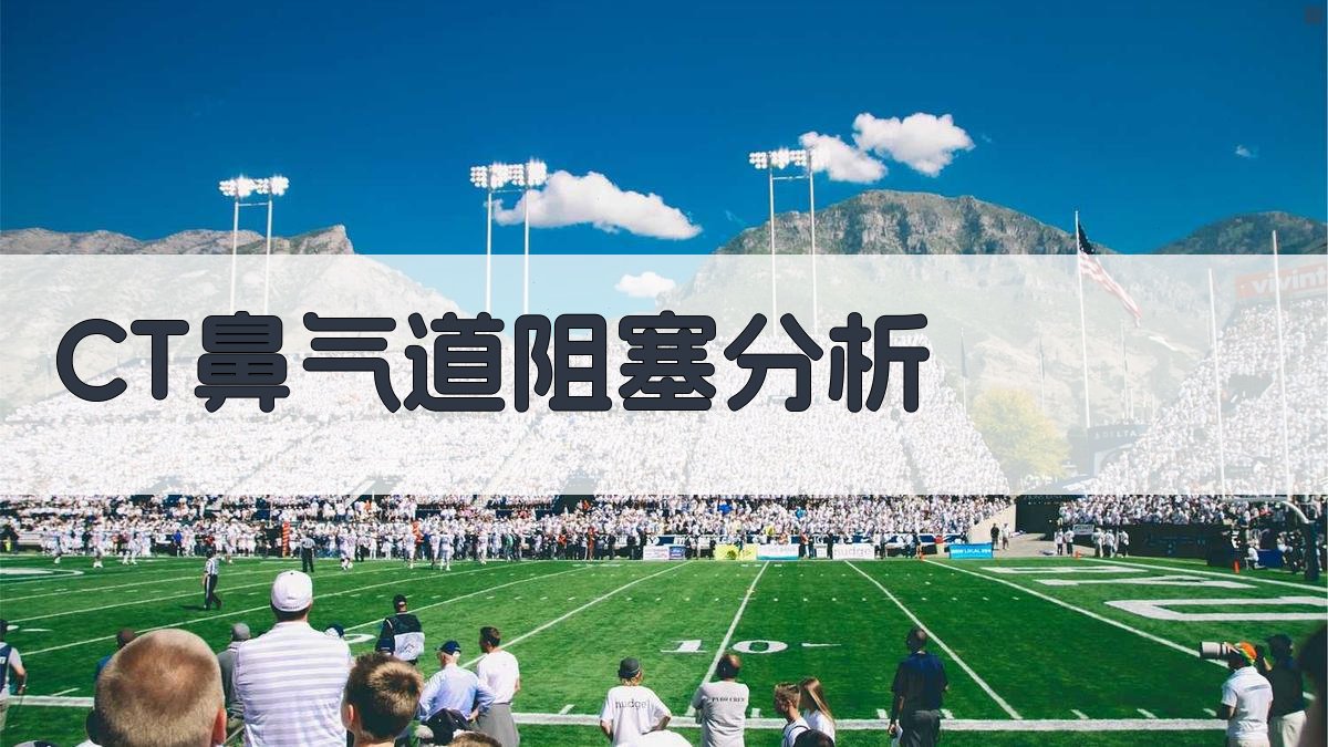 CT鼻气道阻塞分析工具