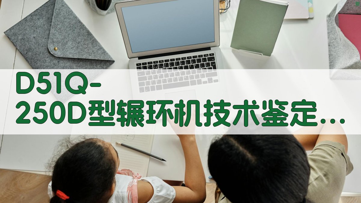 D51Q-250D型辗环机技术鉴定报告