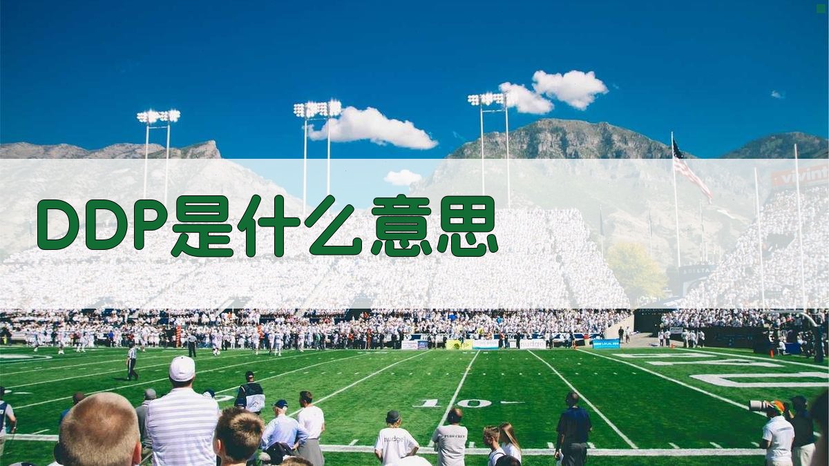 DDP是什么意思